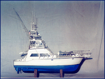 Hatteras 55